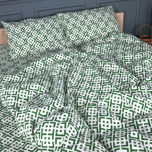 Комплект постільної білизни Бязь 17-0951 Abstract Green - 2