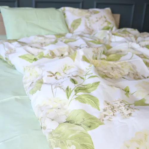 Комплект постільної білизни Ranforce Elite 17-0958 Spring Whisper - 5