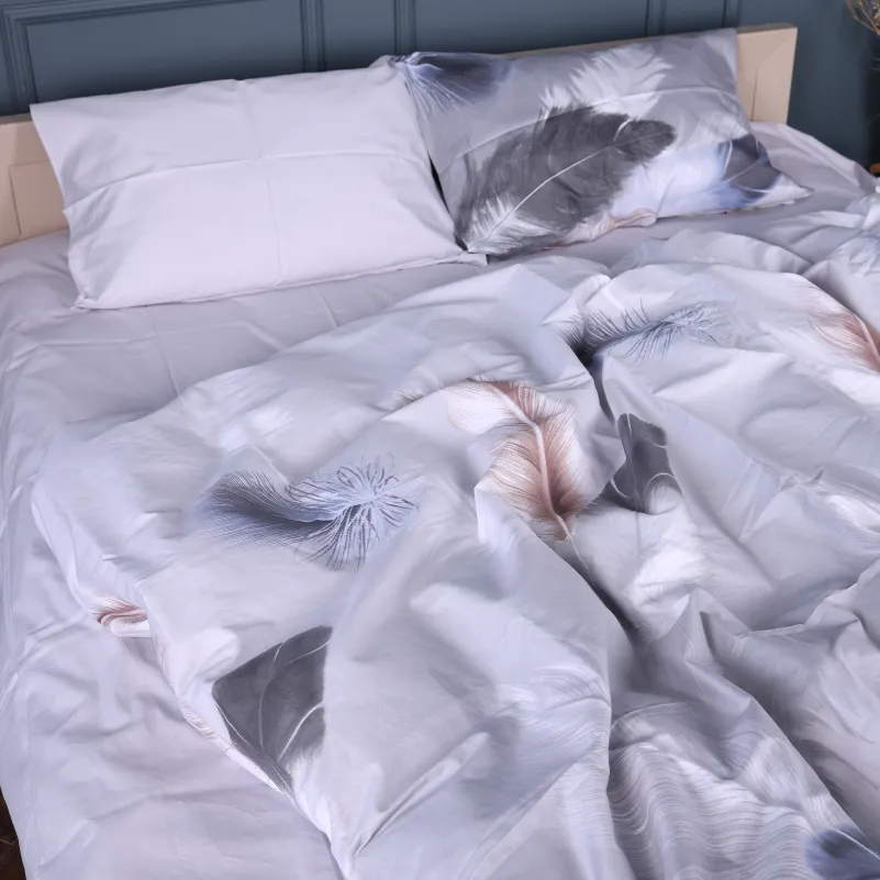 Наволочка Сатин 22-1447 Feather Aurora