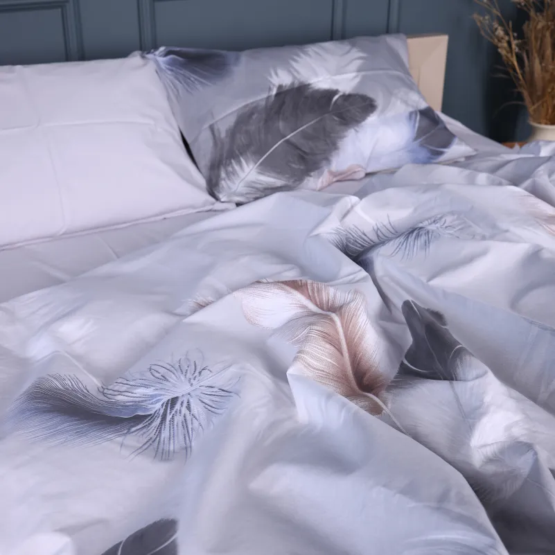 Наволочка Сатин 22-1447 Feather Aurora - 5
