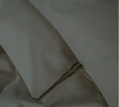 Комплект постільної білизни Mirson Ranforce Elite 16-7000 Green Grey - 2