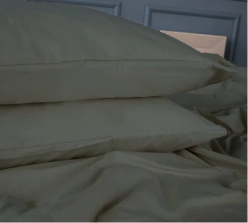 Комплект постільної білизни Бязь 16-7000 Green Grey