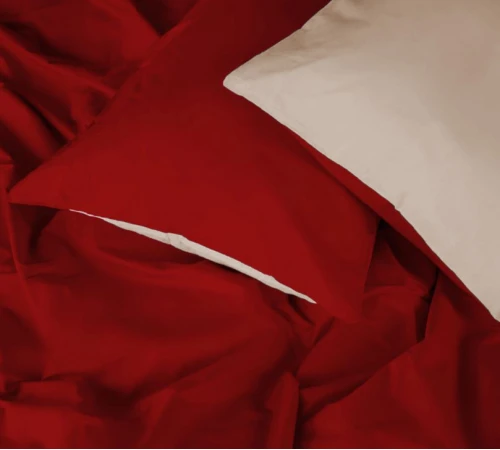 Постільна білизна Бязь Fabio (12-0712 + 19-1655)