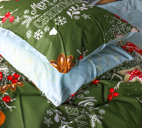 Комплект постельного белья Бязь 17-0881 Holiday Star green - 2