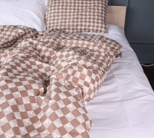 Простирадло Ranforce Elite 17-4789 Brackenheim