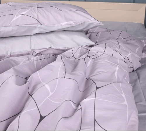 Комплект постільної білизни Бязь 17-0809 Accents gray - 2