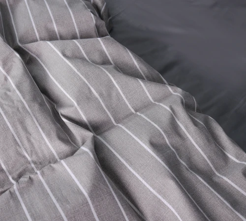 Комплект постельного белья Сатин 22-1423 Thin stripe - 2