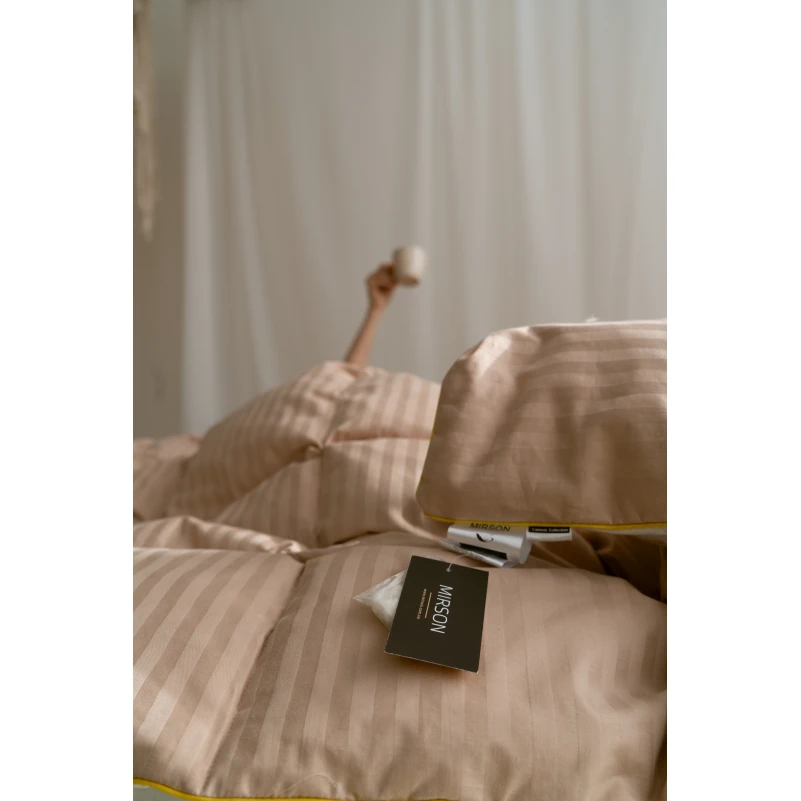 Одеяло пуховое кассетное Carmela №035 100% пух Premium class батист+сатин (зима) - 24