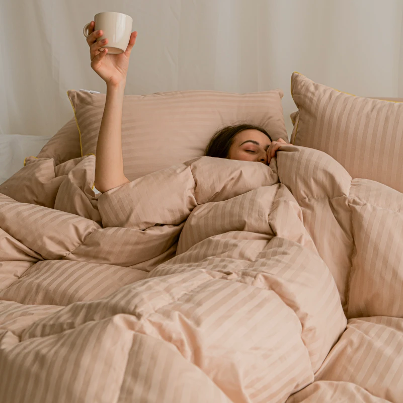 Одеяло пуховое кассетное Carmela №035 100% пух Premium class батист+сатин (зима) - 25