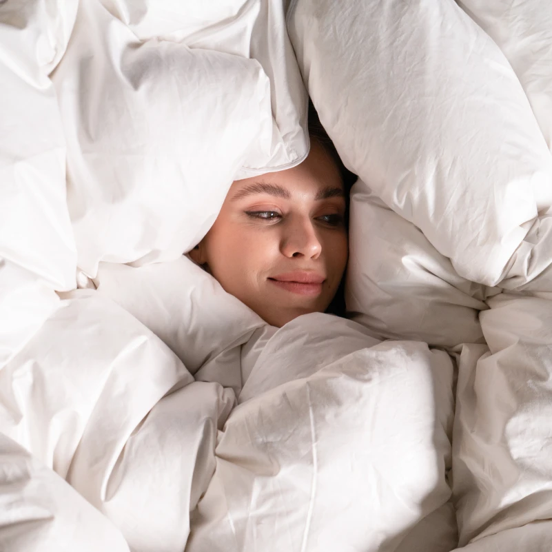 Ковдра пухова касетна Luxury Exclusive №080 100% пух Luxury class Tік Luxury  (зимова) - 13