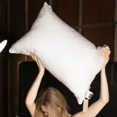 ПУХОВІ ПОДУШКИ