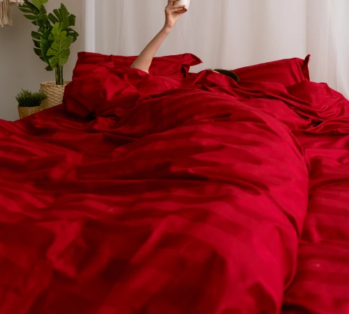 Простынь на резинке (САТИН ЖАККАРД) Aldo - высота 25 см (детские 10 см) - 2