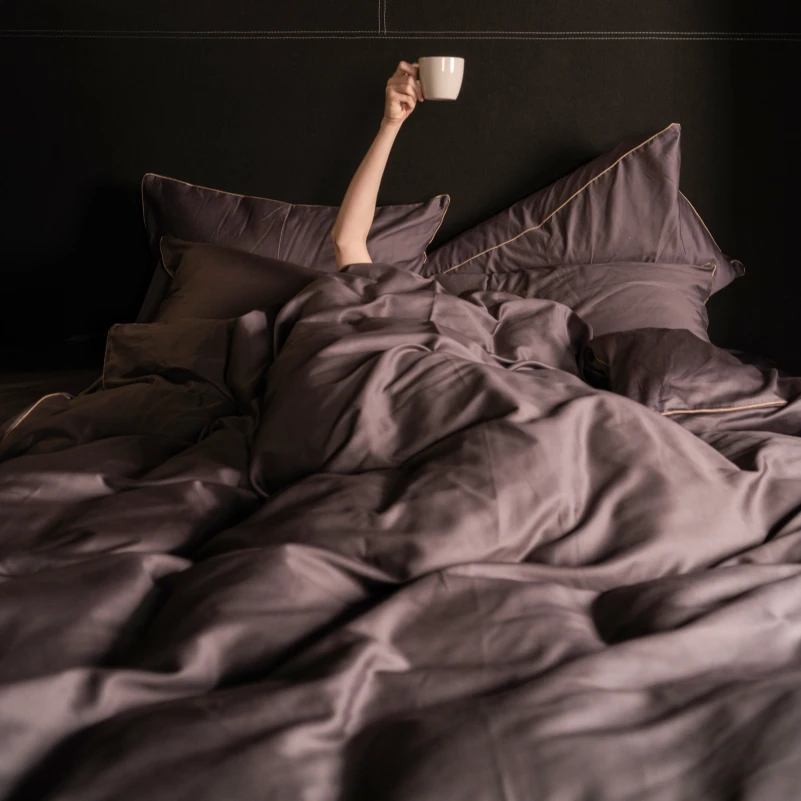 Комплект постільної білизни Сатин ELIT Iron grey Corner - 10