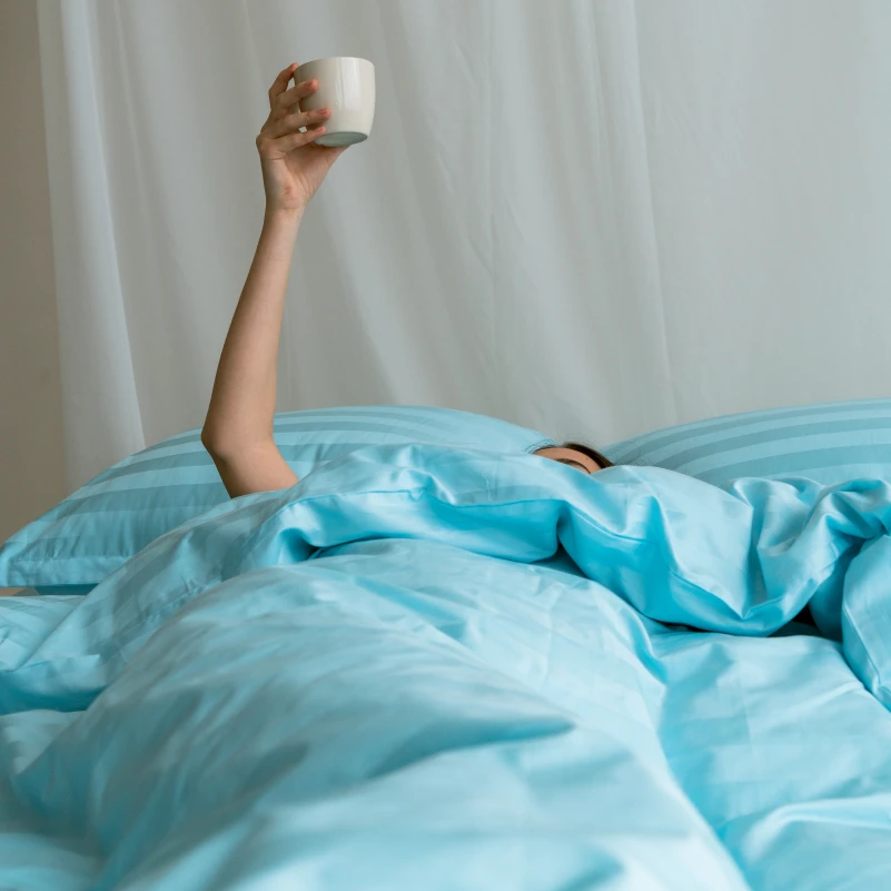 Наволочки Сатин ELIT. Італія "Valentino"  - 12