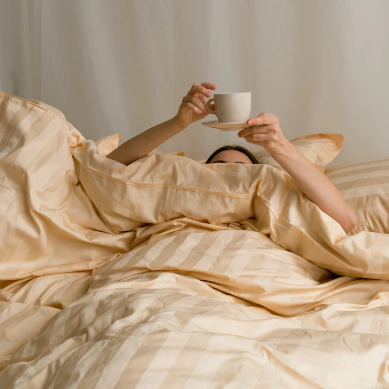 Постільна білизна  Сатин ELIT Сarmela - 11