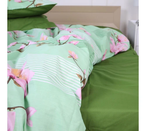 Простирадло Ranforce Elite 17-0055 Rosalvo