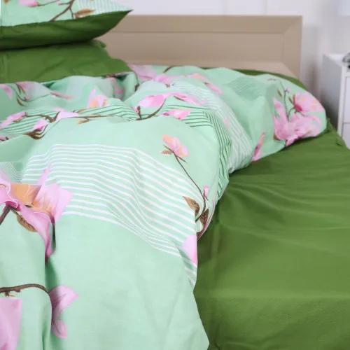 Простирадло Ranforce Elite 17-0055 Rosalvo