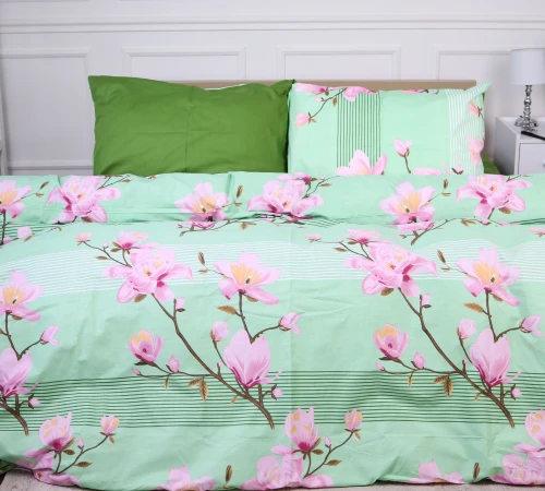 Простирадло Ranforce Elite 17-0055 Rosalvo - 2