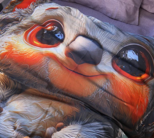 Пододеяльник Ranforce Elite Kids Time 17-0712 Baby Koala - 2