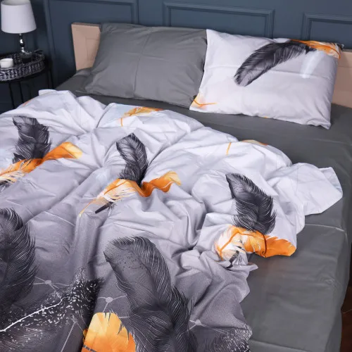 Комплект постельного белья Сатин 22-1381 Black and Feathered