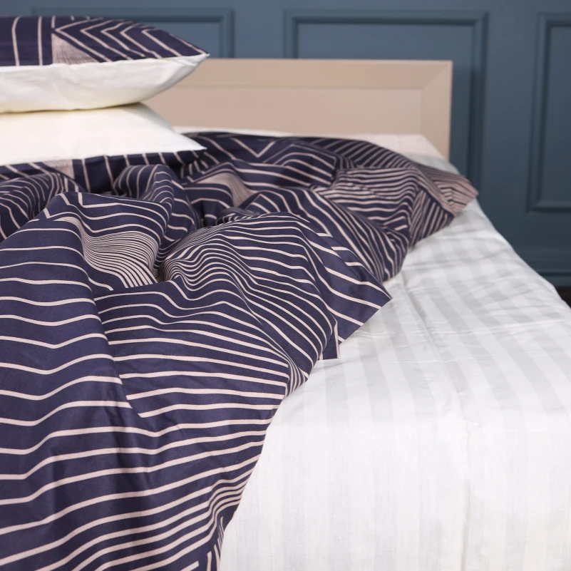 Комплект постільної білизни Ranforce Elite 17-0721 Cream and Grey Stripes - 3