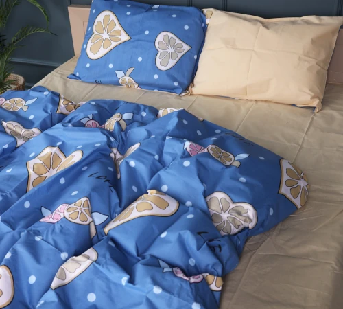 Підковдра Бязь 17-4823 Nathaniel