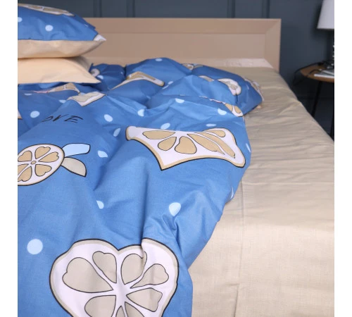 Простирадло Ranforce Elite 17-4823 Nathaniel