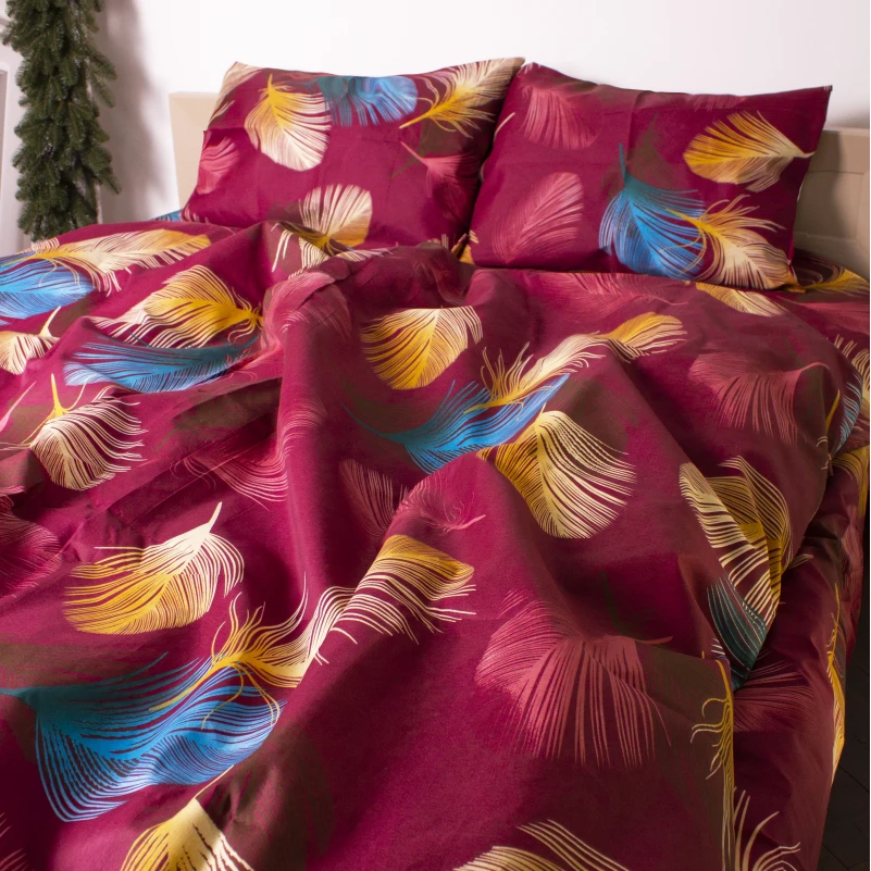 Комплект постельного белья Микрофибра принт 15-0612 Colorado - 4