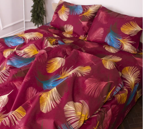 Комплект постельного белья Микрофибра принт 15-0612 Colorado - 2