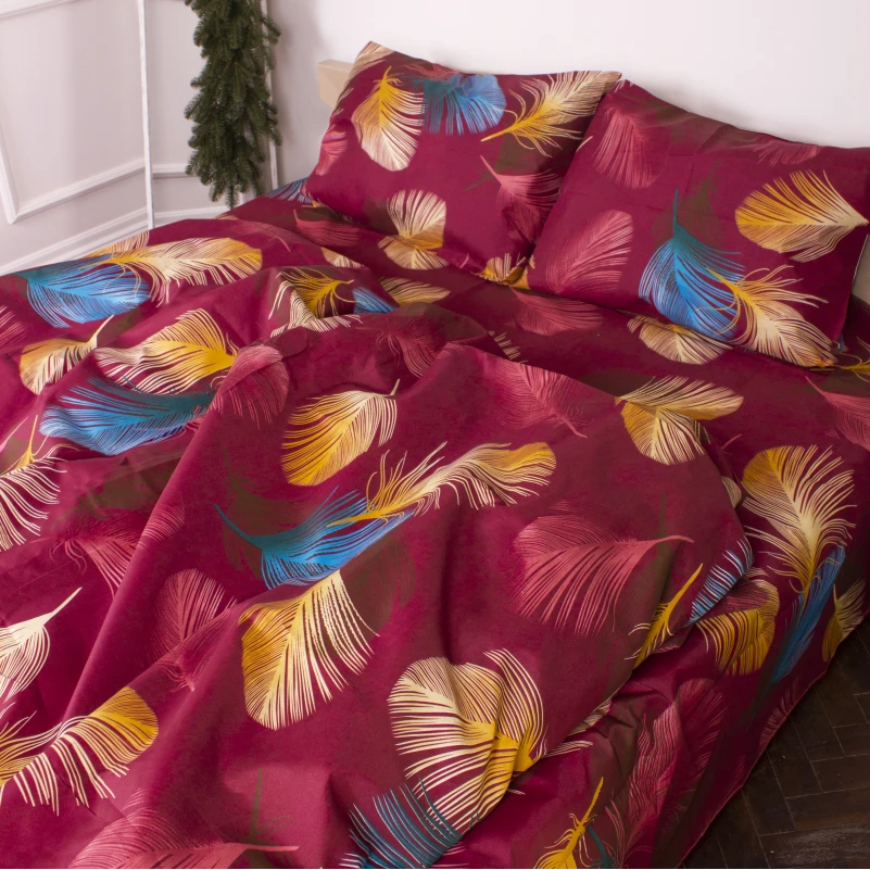 Комплект постельного белья Микрофибра принт 15-0612 Colorado - 1