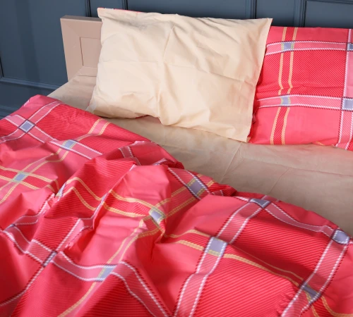 Наволочка Ranforce Elite 17-0783 Checkered Flame