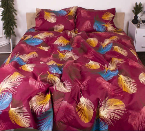 Комплект постельного белья Микрофибра принт 15-0612 Colorado