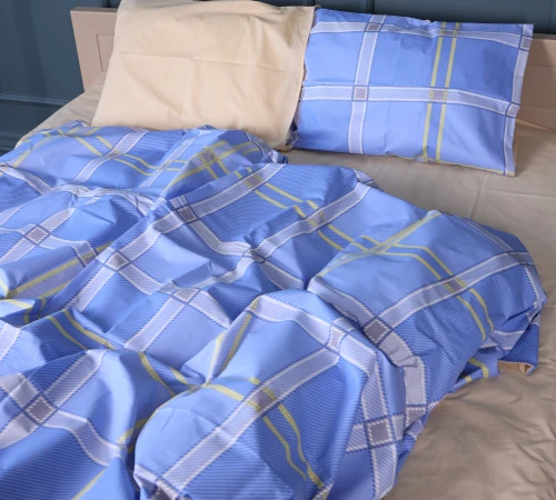 Комплект постільної білизни Бязь 17-0784 Checkered Sky