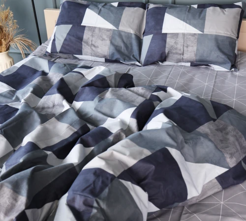 Комплект постільної білизни Бязь 17-0850 Geometrica