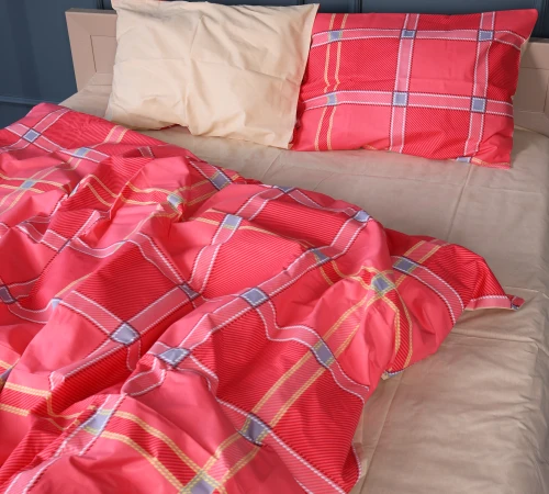 Комплект постільної білизни Бязь 17-0783 Checkered Flame