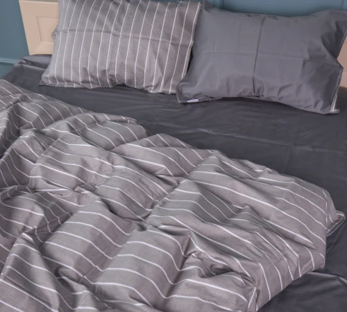 Комплект постельного белья Сатин 22-1423 Thin stripe