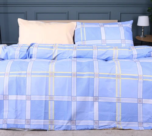 Комплект постельного белья Ranforce Elite 17-0784 Checkered Sky
