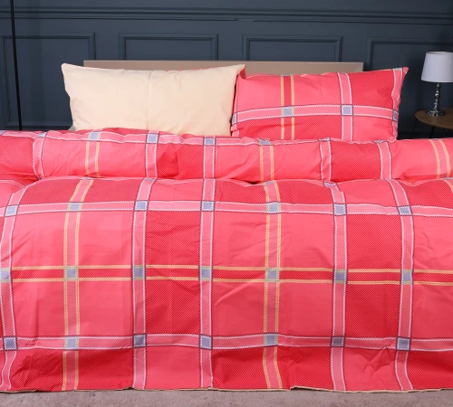 Комплект постельного белья Ranforce Elite 17-0783 Checkered Flame