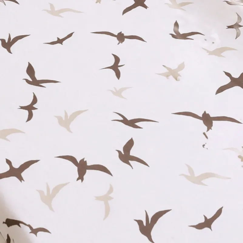 Комплект постельного белья Ranforce Elite JUNIOR 17-0826 Flying birds brown - 8