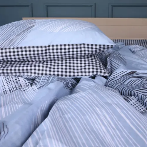 Пододеяльник Бязь 17-0748 Circles in Checks - 2