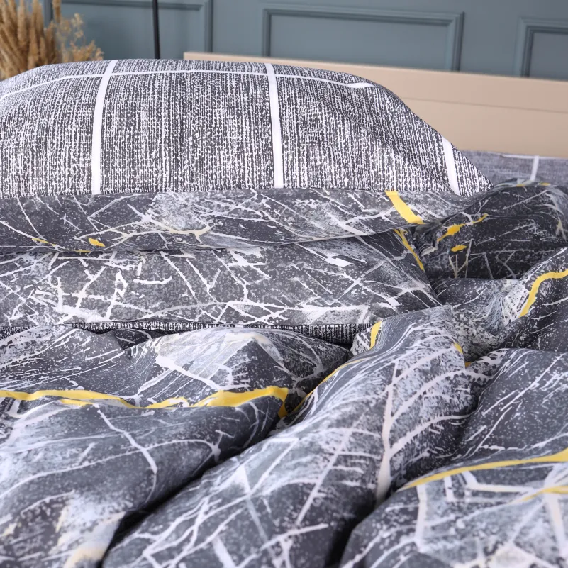 Комплект постільної білизни Ranforce Elite TEENAGER 17-0848 Faultline - 1