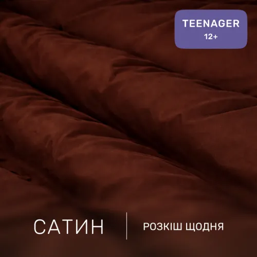 Комплект постільної білизни Сатин TEENAGER 0211 Cacao - 2