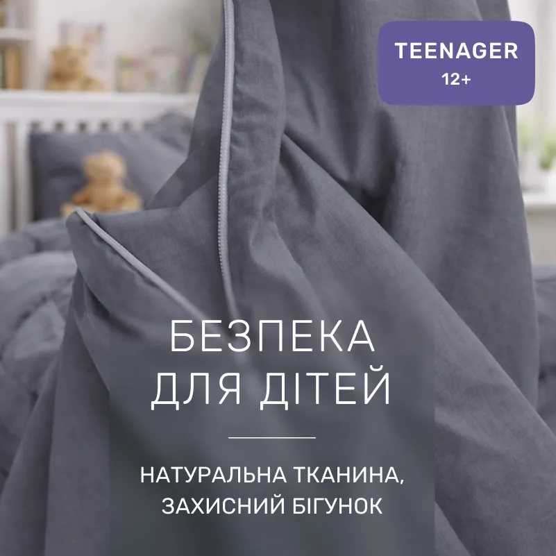 Комплект постельного белья Сатин TEENAGER Satin Light Pro 10-004 Gray - 2