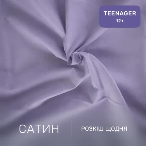 Комплект постельного белья Сатин TEENAGER Satin Light Pro 10-004 Gray - 2
