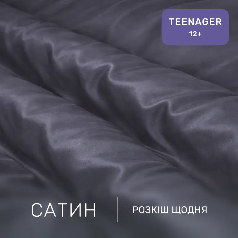 Комплект постельного белья Сатин TEENAGER 0240 Iron grey - 1