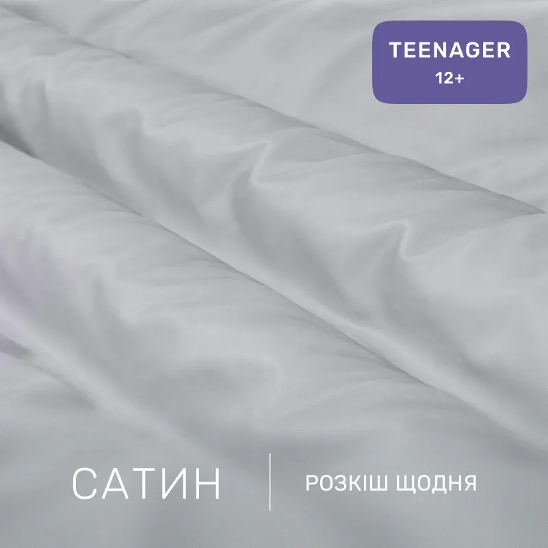 Комплект постельного белья Сатин TEENAGER 0251 Skyline - 1