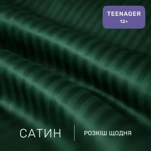 Комплект постельного белья Сатин TEENAGER Satin Stripe 30-0017 Green - 2