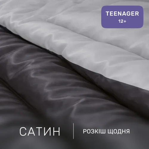 Комплект постельного белья Сатин TEENAGER Smoke 0251+0240 - 2