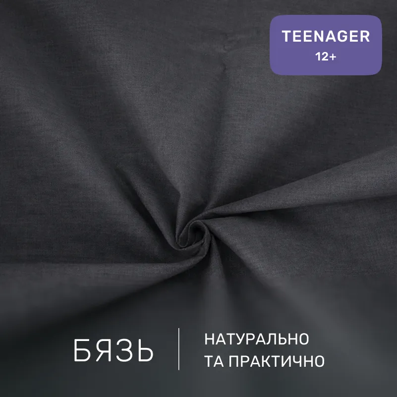 Комплект постельного белья Бязь TEENAGER 16-5803 Geronimo - 1
