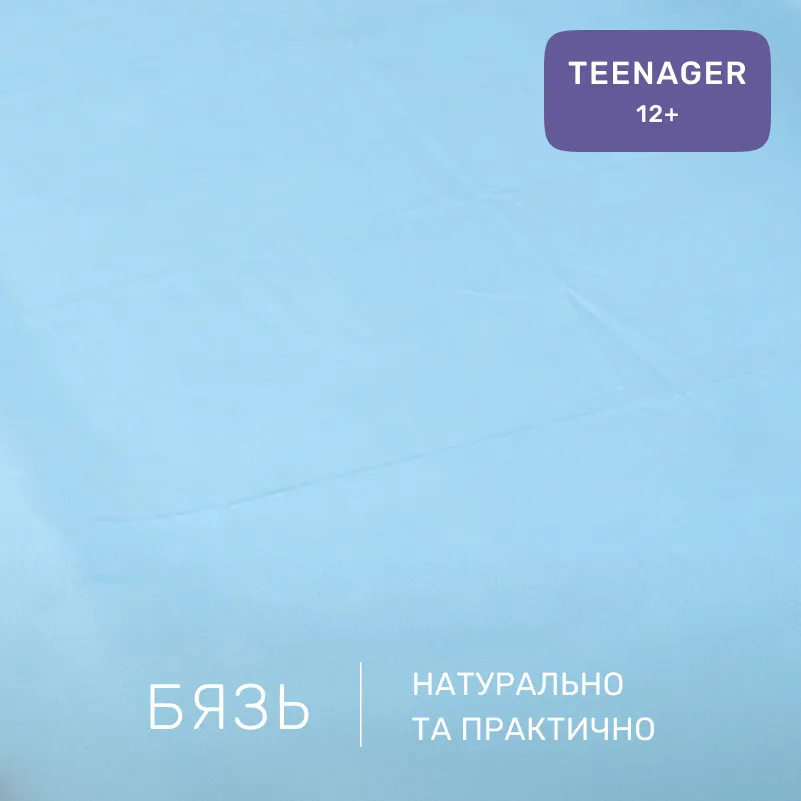 Комплект постельного белья Бязь TEENAGER 17-0571 Minecraft War - 1